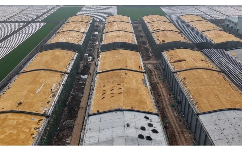 Успешный старт — Группа Хубэй Нонфа открывает год рекордными показателями в первом квартале