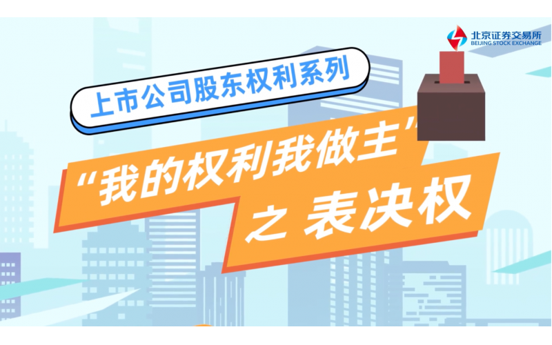 《我的权势我做主》第四集-表决权篇