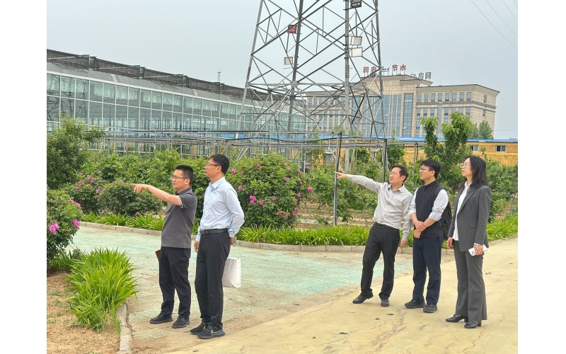 Представители контрольного управления Бюро по ценным бумагам провинции Хэбэй посетили компанию ?Руннун Цзешуй? с плановой инспекционной поездкой для содействия её высококачественному развитию.