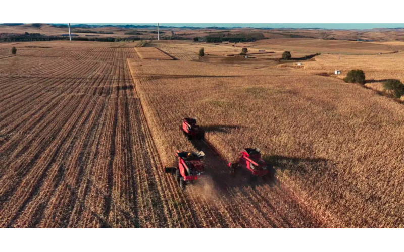 腾博诚信为本科技赋能：科右前旗玉米迎丰登，，，，，，，，开创北地契产提升新范式